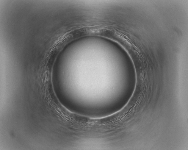 X0000116021447200911201225