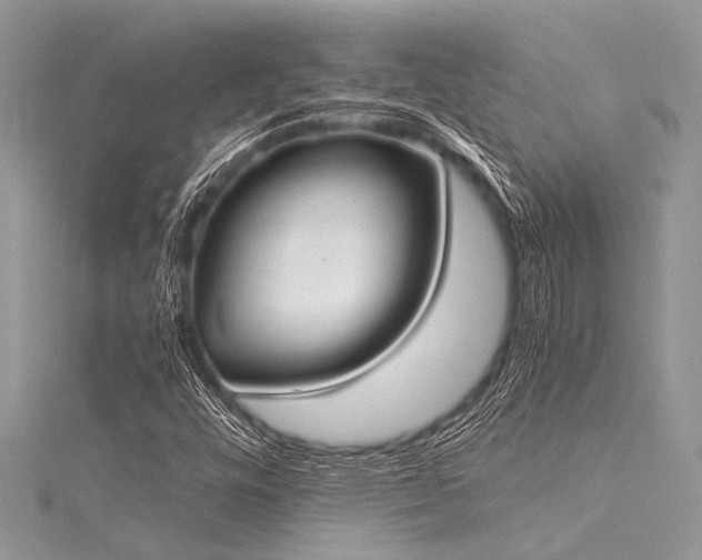 X0000116021448200911201225