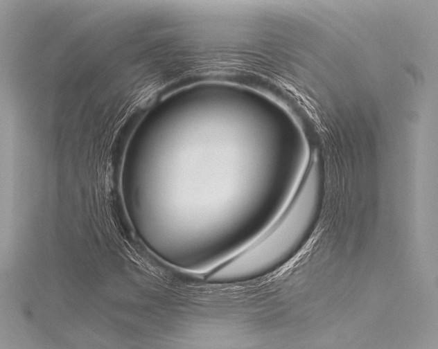 X0000116021449200911201225