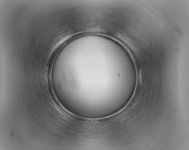X0000116021452200911201225