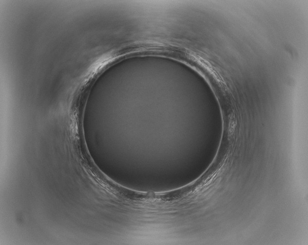 X0000116021455200911201225