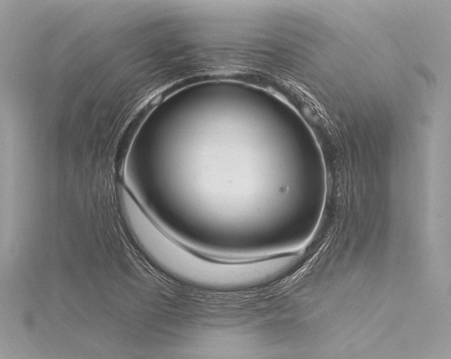 X0000116021457200911201225