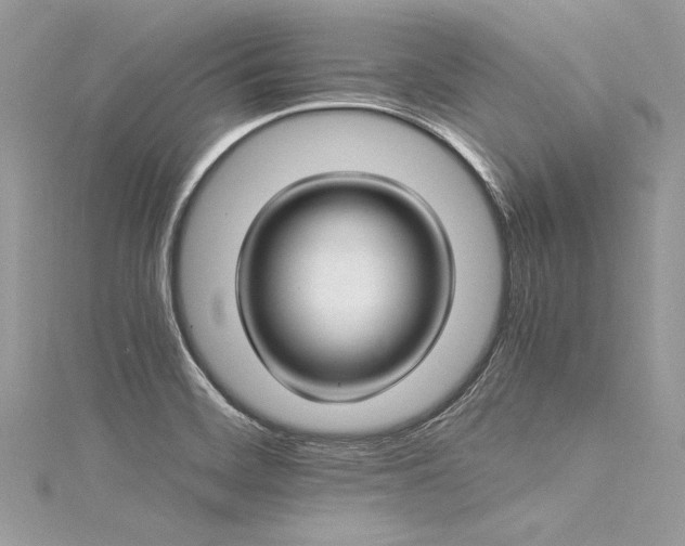X0000116021468200911201224