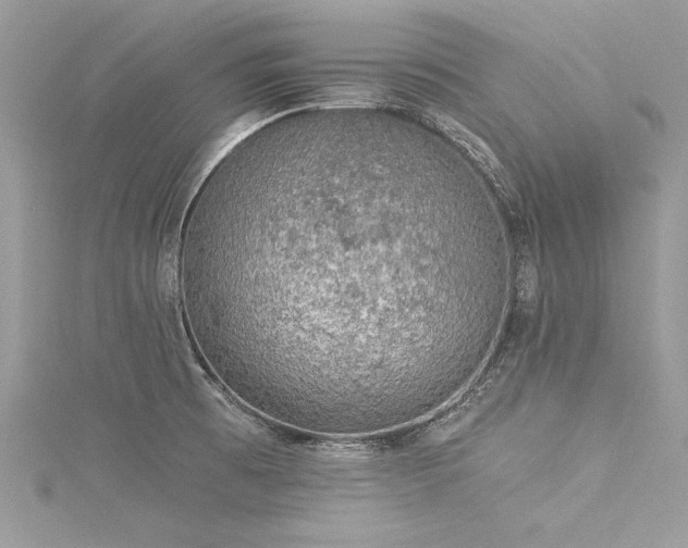 X0000116021473200911201224