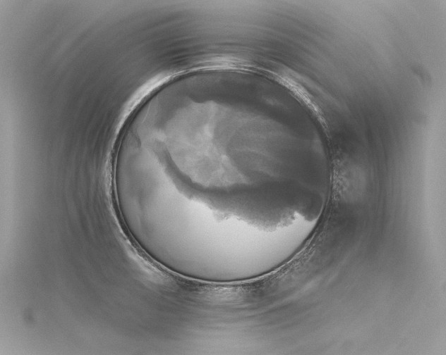 X0000116021474200911201224