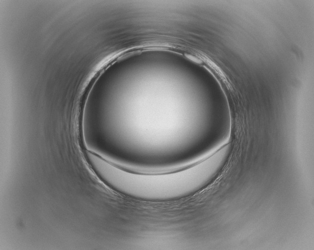 X0000116021477200911201224