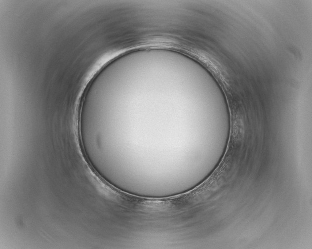 X0000116021478200911201224