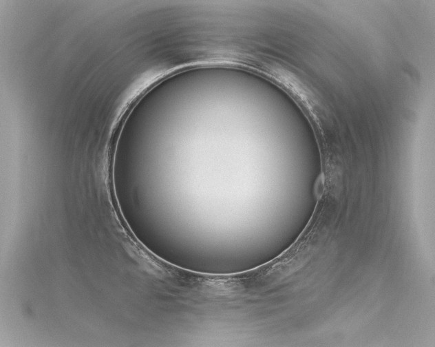 X0000116021480200911201224