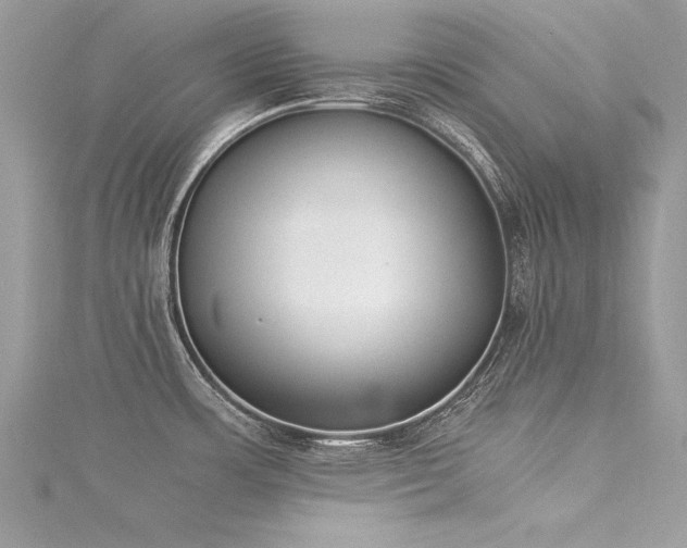 X0000116021483200911201224