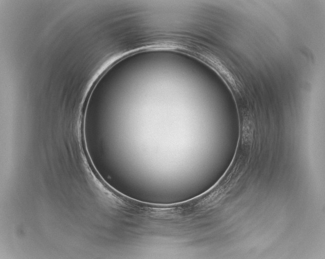 X0000116021484200911201224