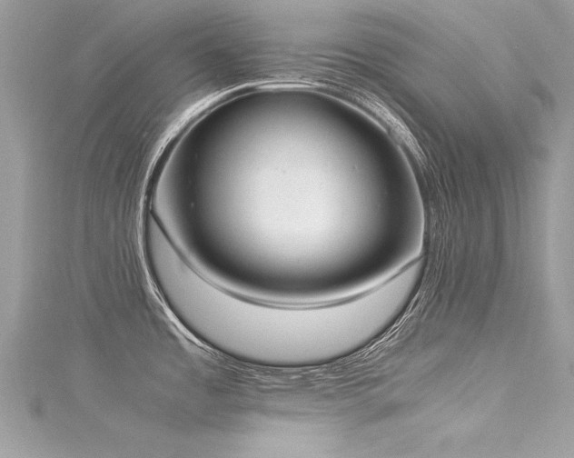 X0000116021485200911201224