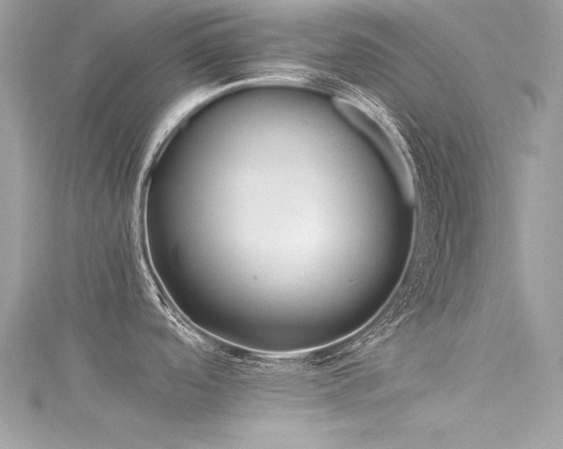 X0000116021488200911201224