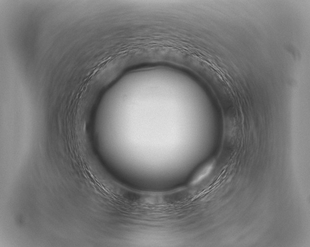X0000116021489200911201224