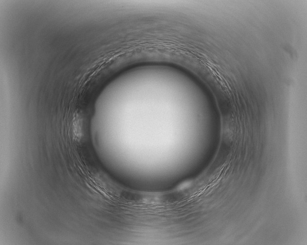 X0000116021490200911201224
