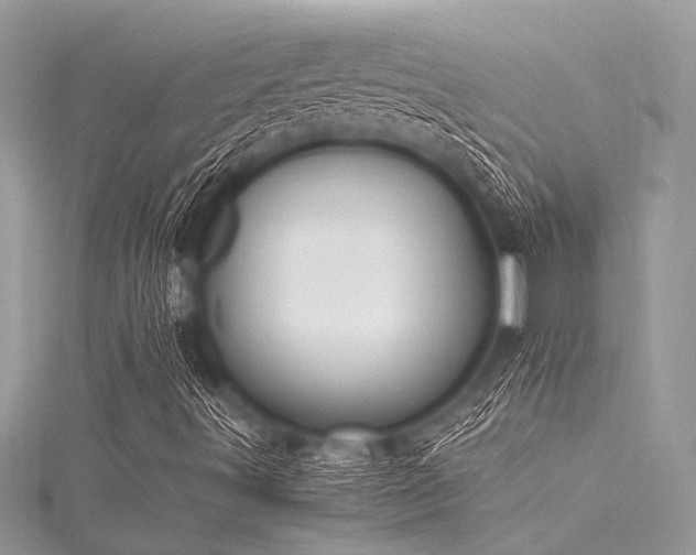 X0000116021491200911201224