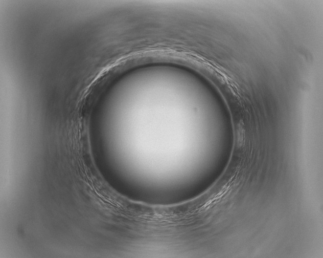 X0000116021494200911201224
