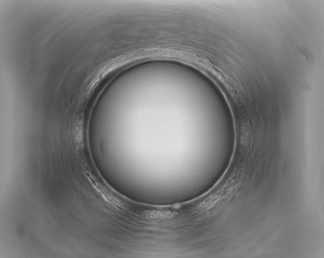 X0000116021499200911201224