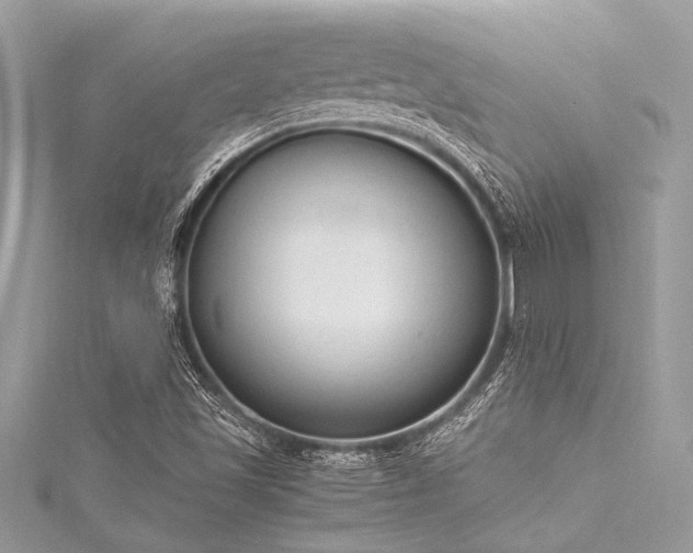 X0000116021501200911201224