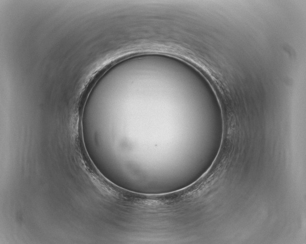 X0000116021507200911201224