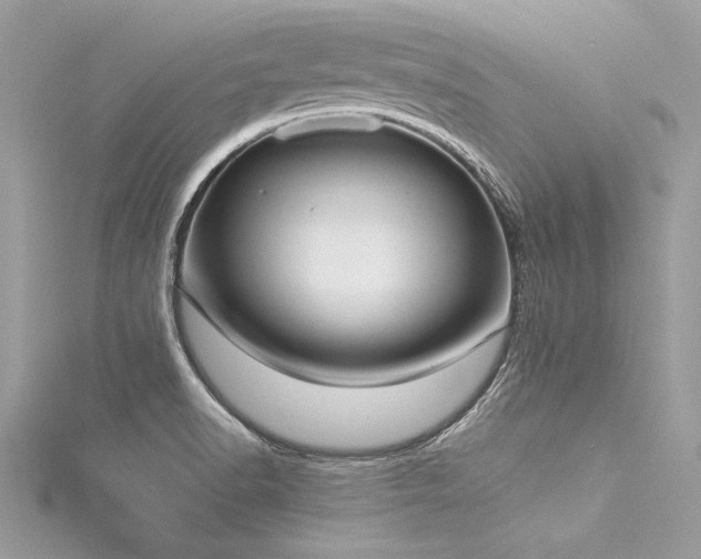 X0000116021518200911201224