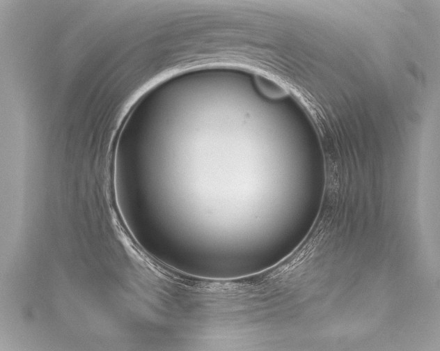X0000116021534200911201224