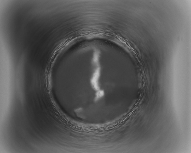 X0000116020002200911271125