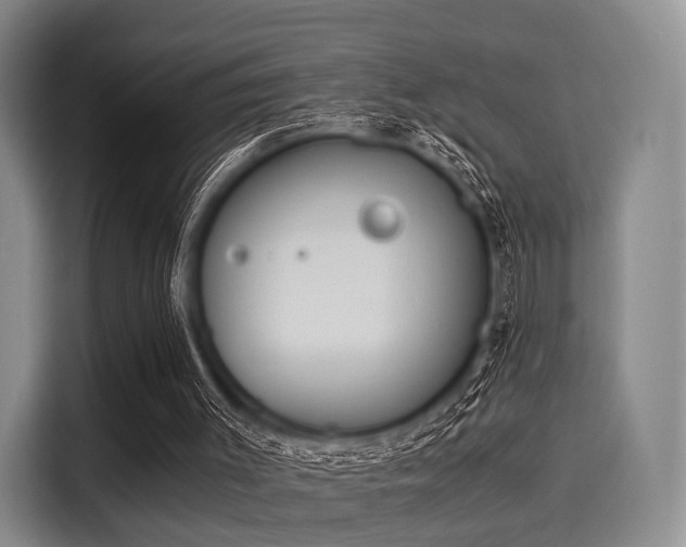 X0000116020003200911271125