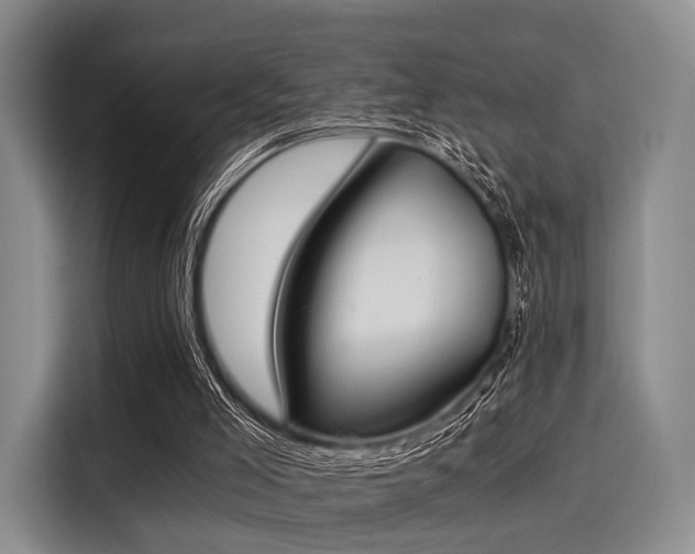 X0000116020005200911271125