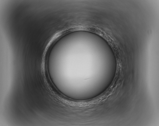 X0000116020006200911271125