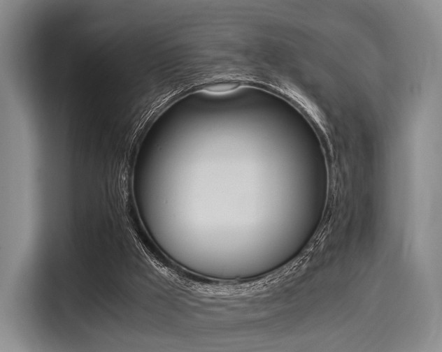 X0000116020009200911271125