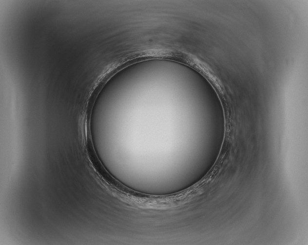 X0000116020011200911271125