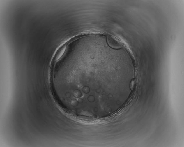 X0000116020012200911271125