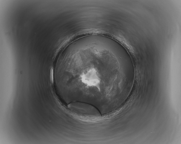 X0000116020014200911271125