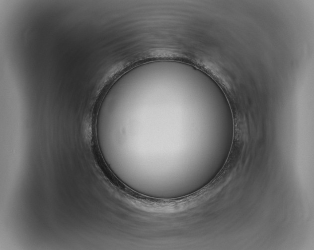 X0000116020015200911271125