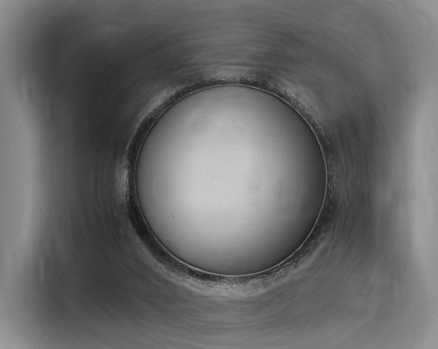 X0000116020016200911271125