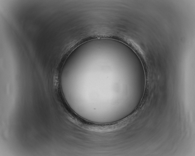 X0000116020017200911271125