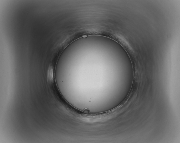 X0000116020021200911271125