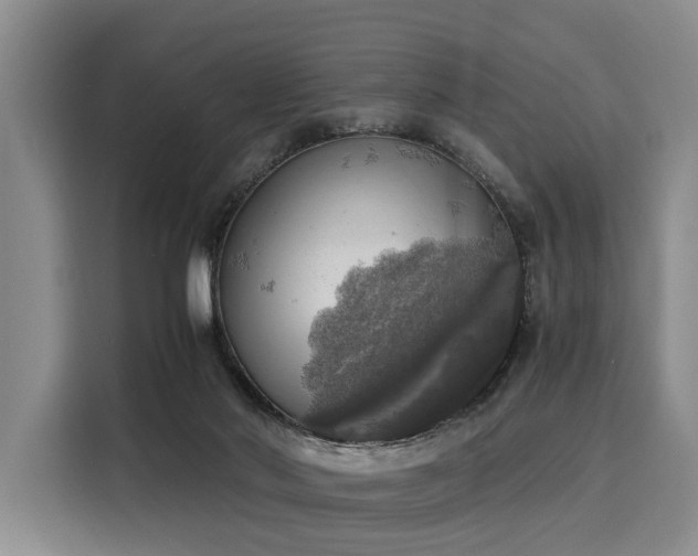 X0000116020022200911271125