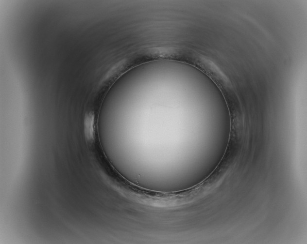 X0000116020024200911271125