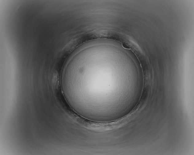 X0000116020029200911271125