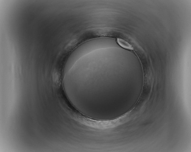 X0000116020031200911271125