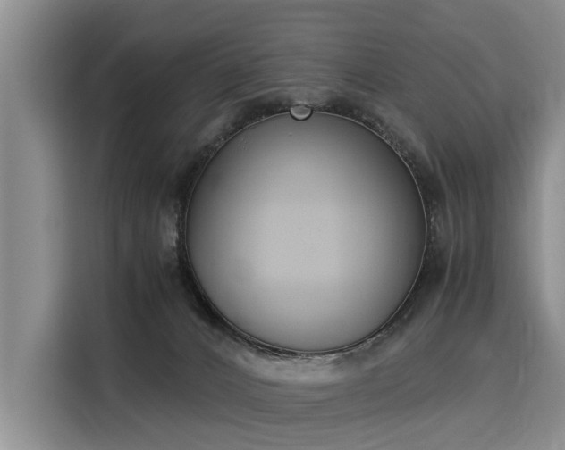 X0000116020032200911271125