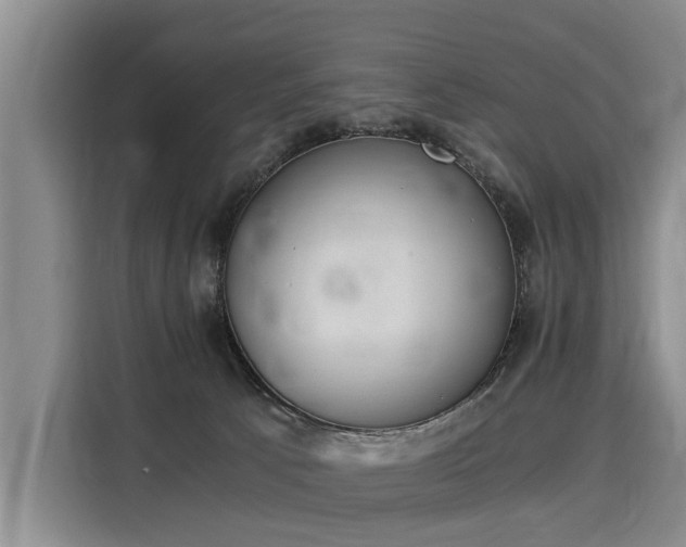 X0000116020033200911271125