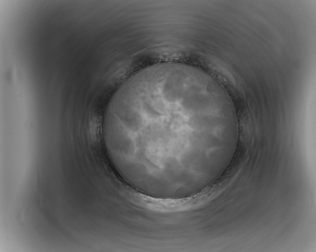 X0000116020034200911271125