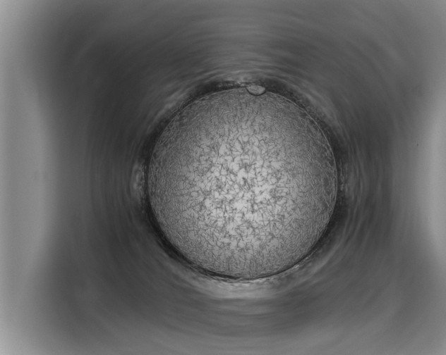X0000116020036200911271125
