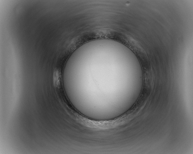 X0000116020038200911271125