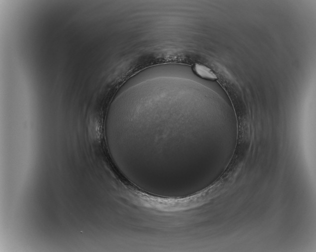 X0000116020039200911271125