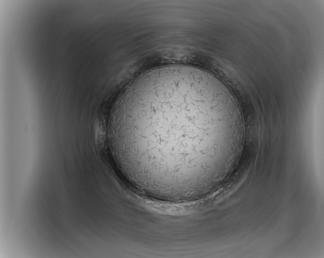 X0000116020040200911271125