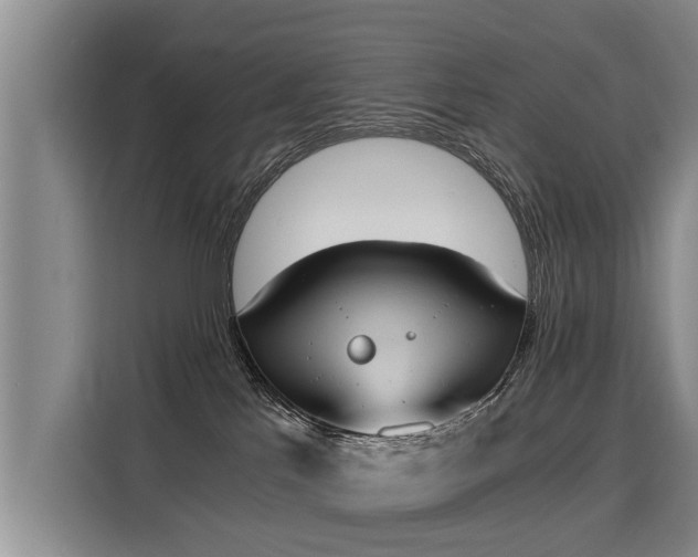 X0000116020041200911271125