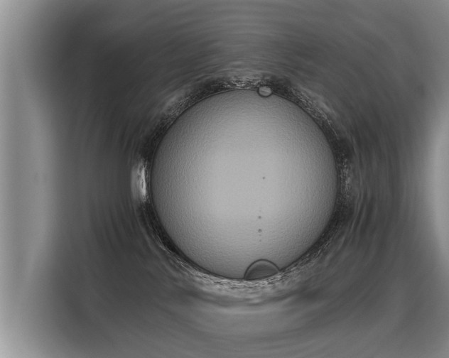 X0000116020042200911271125